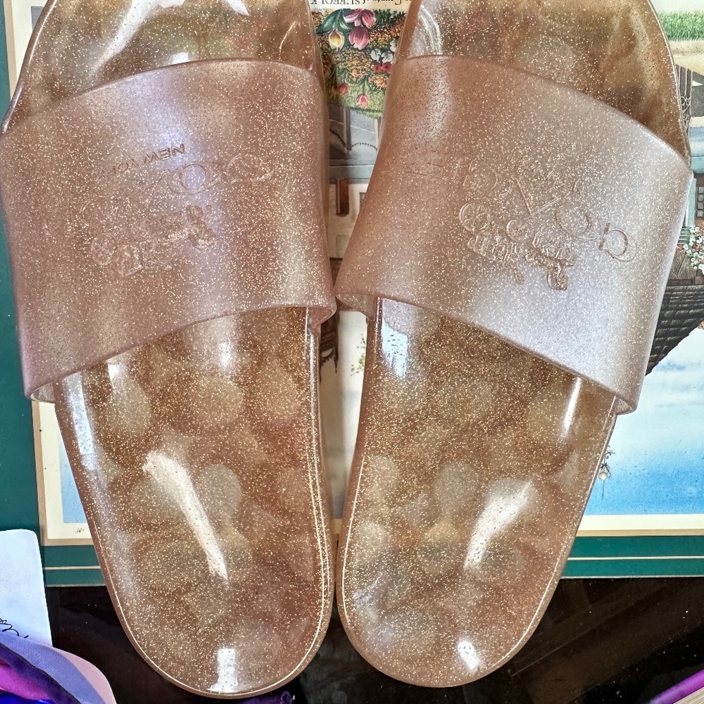 Coach Jelly Slides